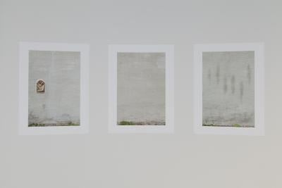 2019 Sara Foerster 581 3 222 02