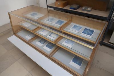 2019 Sara Foerster floating 01