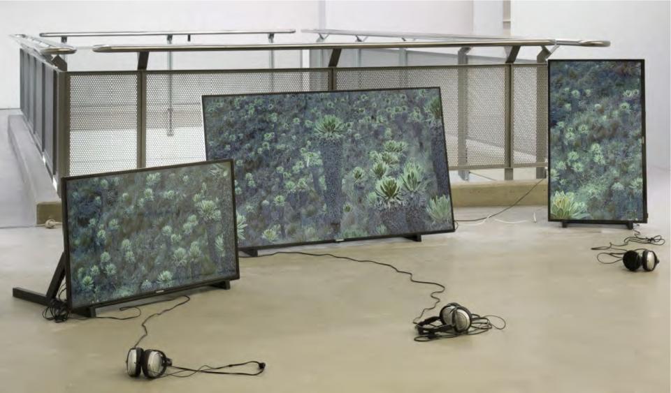 Water Warriors, 2019,3 Kanal Video und Sound Installation 