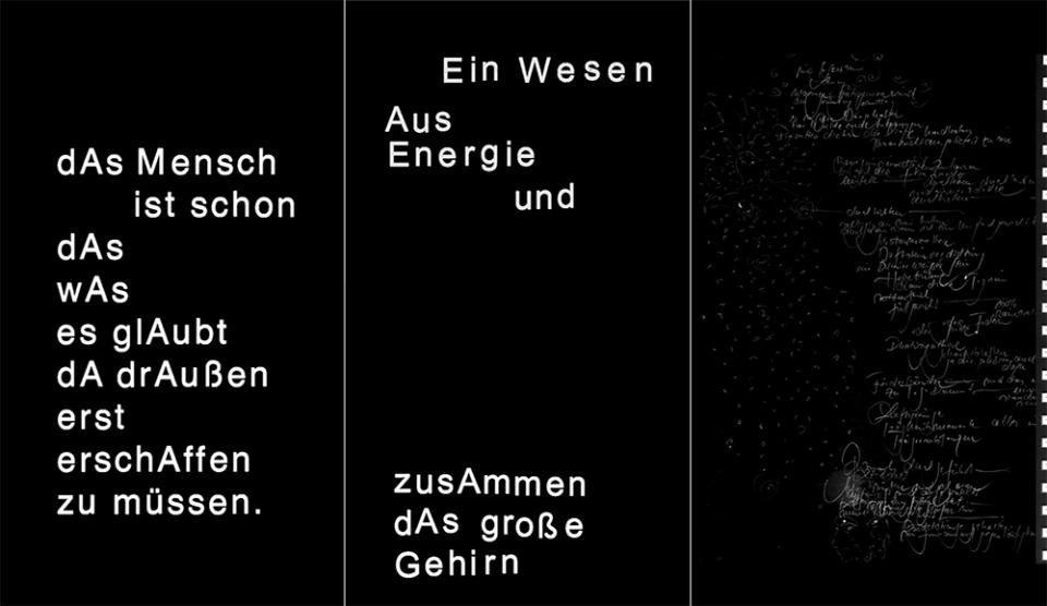 Ich bin die alte Hirsch, 2019,Videoinstallation,5 Min.