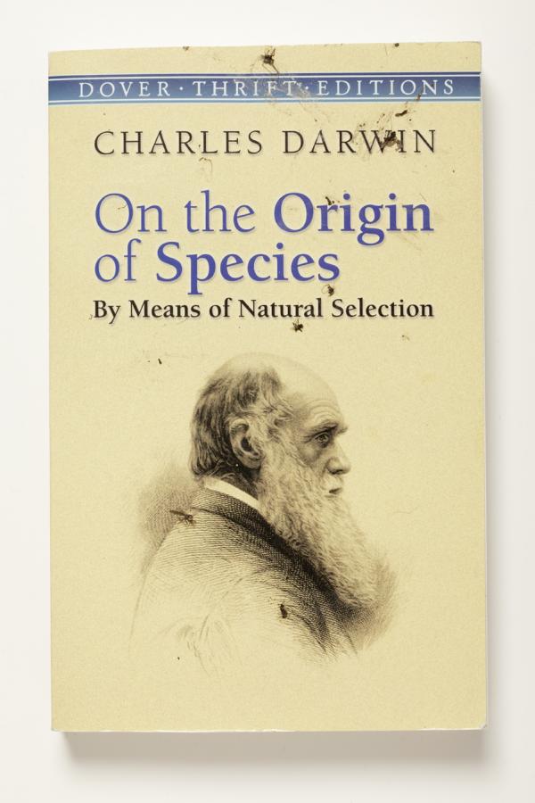 darwin2