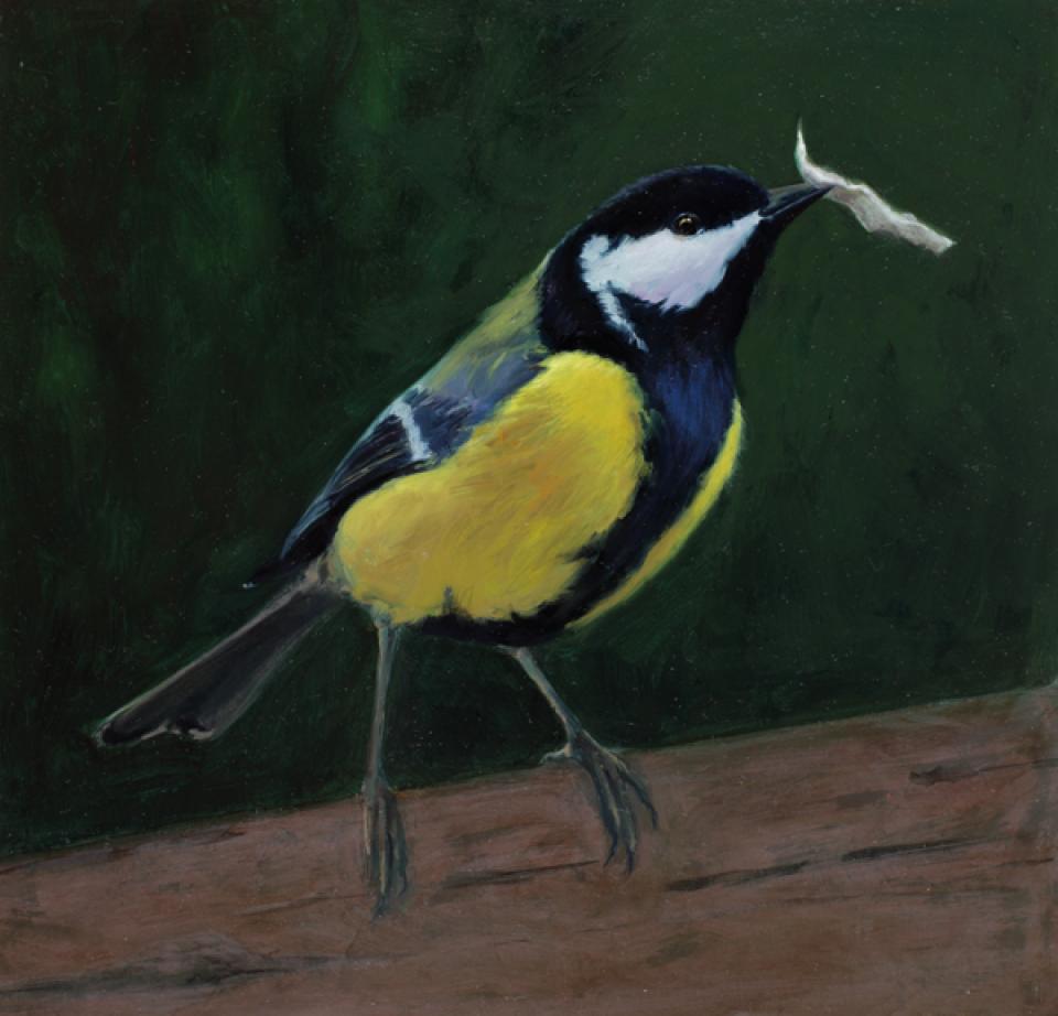 "Naturalia", from the series "Nestbau", 2008/2011,oil on paper,40 x 40 cm