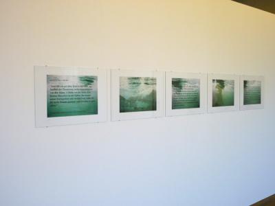 03P1010295 600