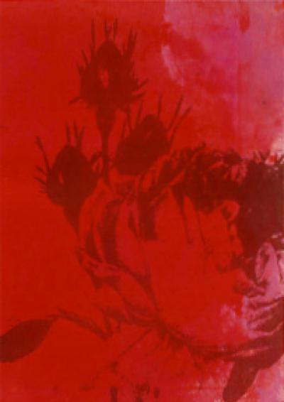klaus_zwick_Zwick_1172846353_02-rose.jpg